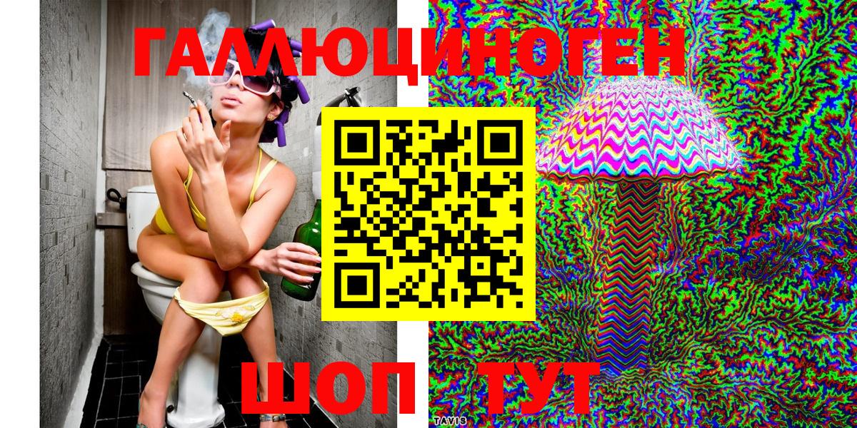 Псилоцибиновые грибы Psilocybine cubensis Кимовск