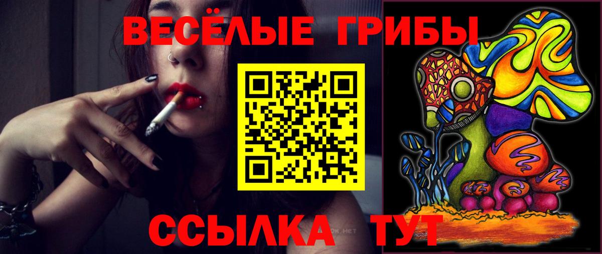 Псилоцибиновые грибы GOLDEN TEACHER  Вход с VPN  Кимовск  Галлюциногенные грибы прущие грибы 